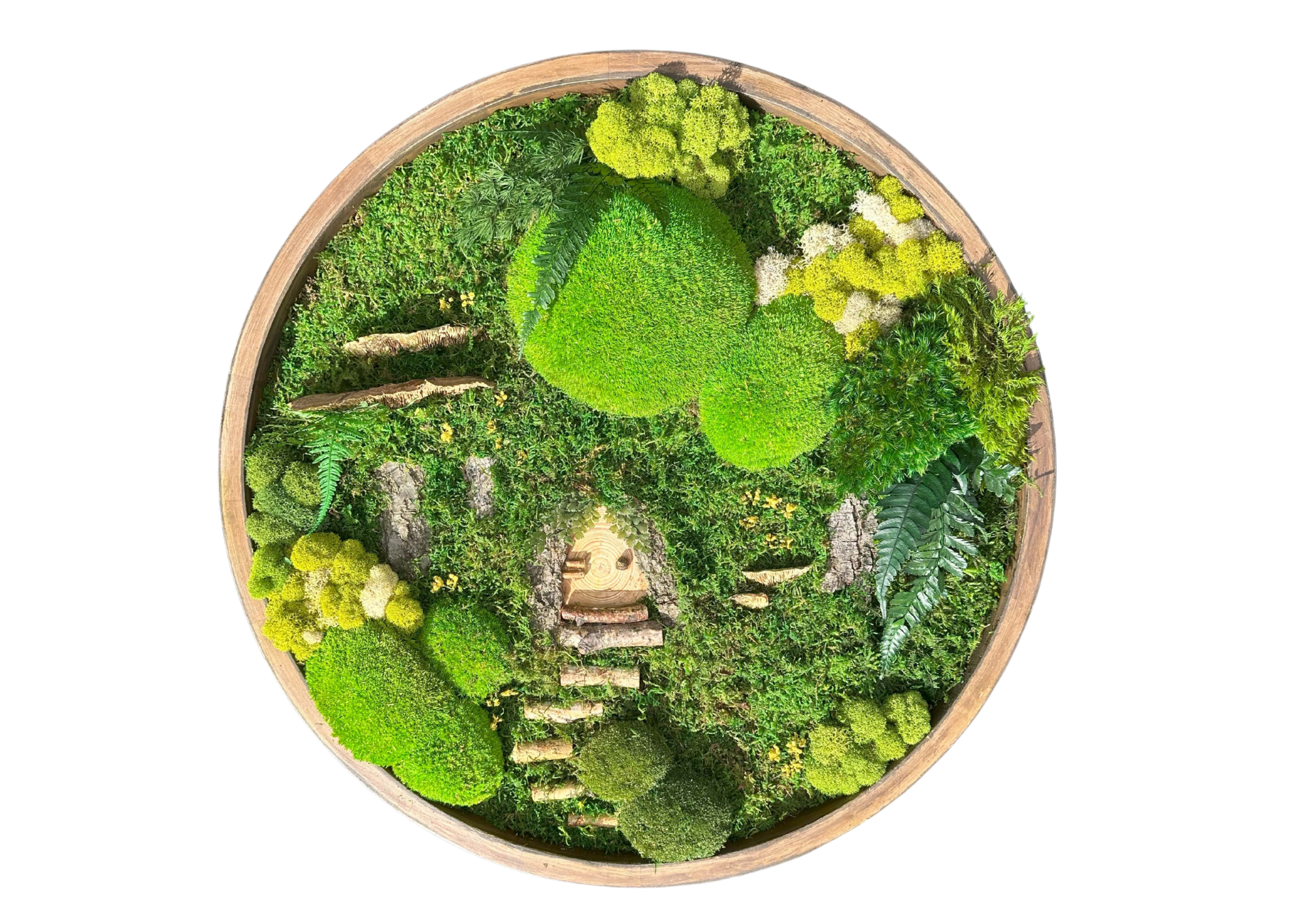 An arrangement of moss in a round pot